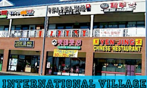The International Village